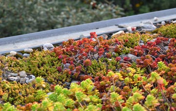 the cost of Alderney green roof installation