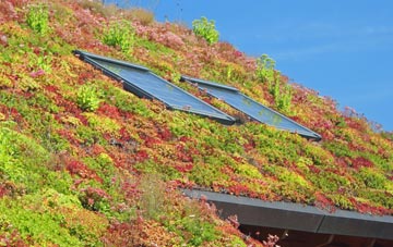 Alderney living roof systems