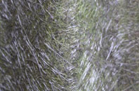 Alderney fibreglass roof work